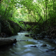 Image for article titled Sigma's Zoomy 18-250mm Lens Review/Rant: Better to Have 1 Lens or Many?